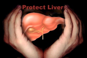 obat tradisional liver